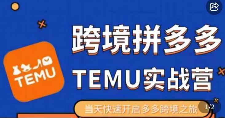 大鹏出海·拼多多跨境temu运营指导，开店注册+选品+核价上架，日出千单实战课-苏柒资源库