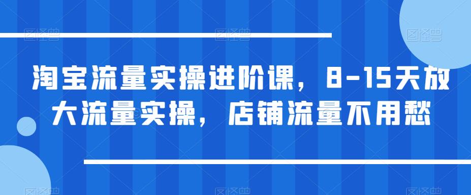 淘宝流量实操进阶课，8-15天放大流量实操，店铺流量不用愁-苏柒资源库