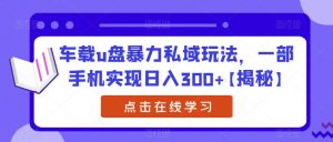 车载u盘暴力私域玩法,一部手机实现日入300+【揭秘】-苏柒资源库