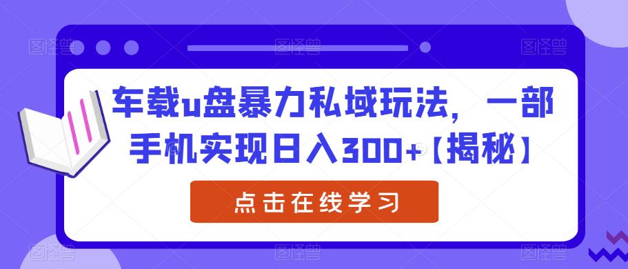 车载u盘暴力私域玩法，一部手机实现日入300+【揭秘】-苏柒资源库