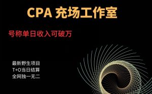 cpa充场工作室，号称单日收入10000+（揭秘）-苏柒资源库