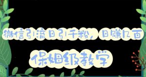 微信互推圈半自动引流方案,矩阵操作日引千人思路【详细视频教程】-苏柒资源库