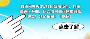 有道词典WOW社区蓝海项目，目前高速上升期，新人小白都可以换取高收益！赶紧布局！【揭秘】-苏柒资源库