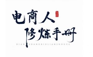 照顾酱·电商人修炼手册,从0到1,手把手教你理解淘宝运营底层逻辑-苏柒资源库