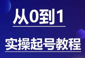 石野·小白起号实操教程,掌握各种起号的玩法技术,了解流量的核心-苏柒资源库