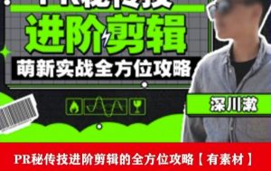 PR进阶剪辑培训班,让你快速成为剪辑大师12节视频课程+素材!-苏柒资源库