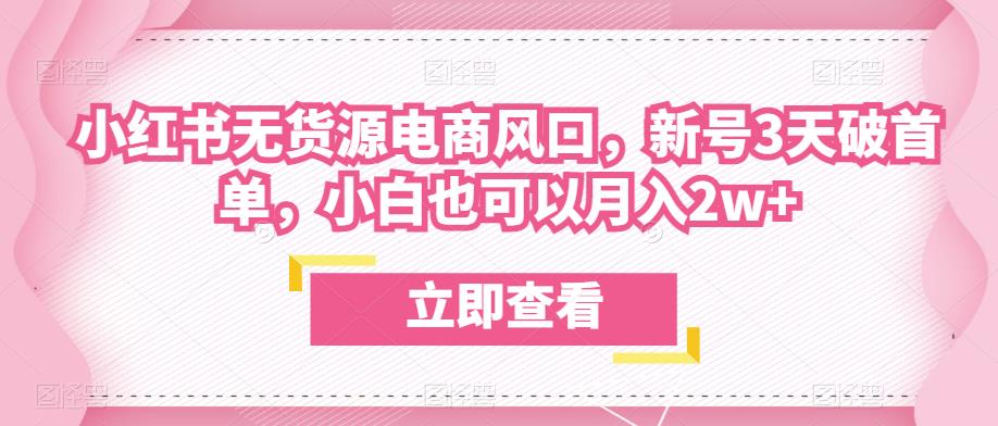 众狼电商余文小红书无货源电商风口，新号3天破首单，小白也可以月入2w+-苏柒资源库