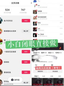 一天做完别一辈子的视频制作最近很火的《1000个野路子信息差》100%过原创【揭秘】-苏柒资源库