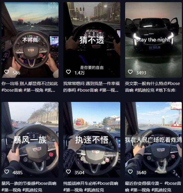 抖音开车视频项目，0基础操作，每天五分钟，月入1W+【揭秘】-苏柒资源库