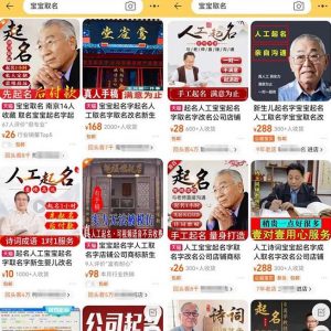拆解小红书宝宝起名虚拟副业项目,一条龙实操玩法分享给你(教程+软件)-苏柒资源库