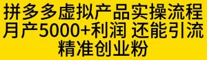 拼多多虚拟产品实操流程,月产5000+利润,还能引流精准创业粉【揭秘】-苏柒资源库