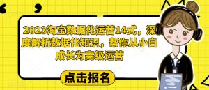 2023淘宝数据化运营14式,深度解析数据化知识,帮你从小白成长为高级运营-苏柒资源库