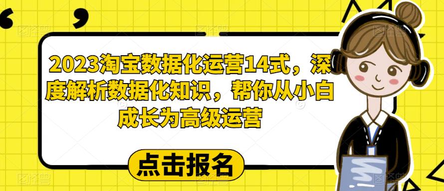 2023淘宝数据化运营14式，深度解析数据化知识，帮你从小白成长为高级运营-苏柒资源库