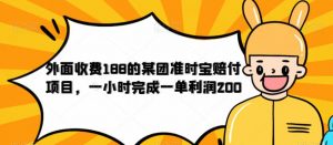 外面收费188的美团准时宝赔付项目,一小时完成一单利润200【仅揭秘】-苏柒资源库