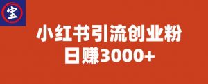 宝哥小红书引流创业粉,日赚3000+【揭秘】-苏柒资源库