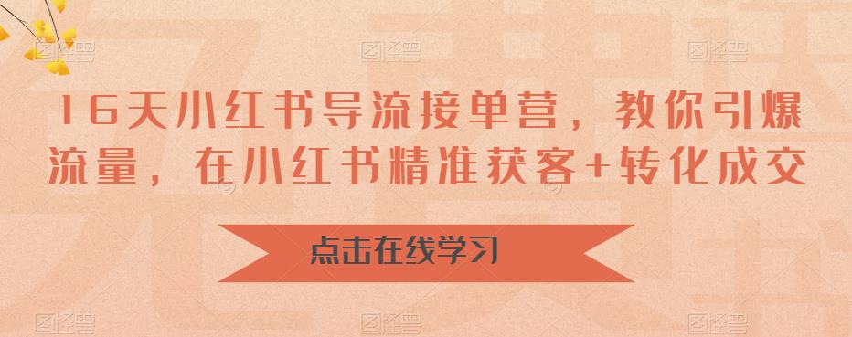 16天小红书导流接单营，教你引爆流量，在小红书精准获客+转化成交-苏柒资源库