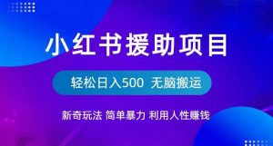 小红书援助项目新奇玩法,简单暴力,无脑搬运轻松日入500【揭秘】-苏柒资源库