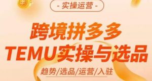 伍跃·跨境拼多多TEMU实操与选品,趋势/选品/运营/入住(27节完整)-苏柒资源库