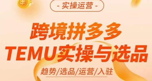 伍跃·跨境拼多多TEMU实操与选品，​趋势/选品/运营/入住（27节完整）-苏柒资源库