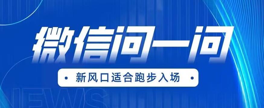 全网首发微信问一问新风口变现项目（价值1999元）【揭秘】-苏柒资源库