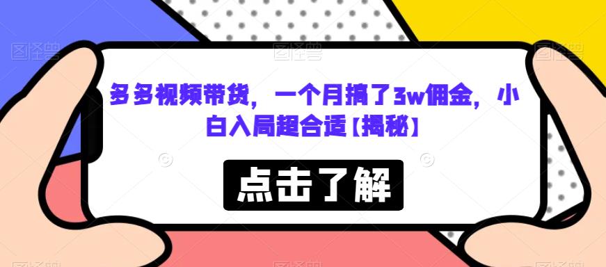 多多视频带货，一个月搞了3w佣金，小白入局超合适【揭秘】-苏柒资源库