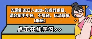 4个冷门副业思路玩法，从0到1，闷声发财，让你实现财富自由【揭秘】-苏柒资源库