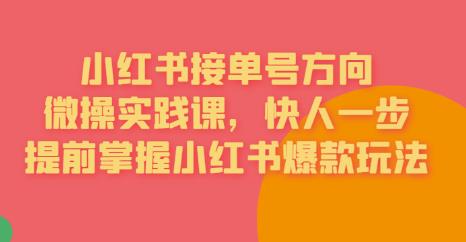 接单号方向·小红书微操实践课，快人一步，提前掌握小红书爆款玩法-苏柒资源库