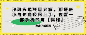 漫改头像项目分解，即使是小白也能轻松上手，仅需一部手机即可【揭秘】-苏柒资源库