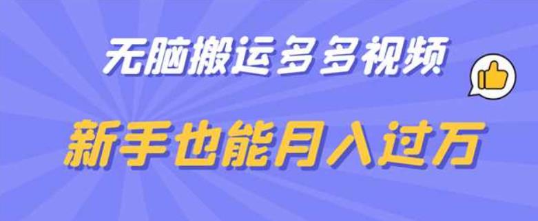无脑搬运多多视频，新手也能月入过万【揭秘】-苏柒资源库