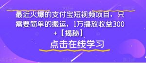 最近火爆的支付宝短视频项目,只需要简单的搬运,1万播放收益300+【揭秘】-苏柒资源库