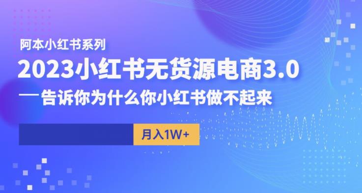 阿本小红书无货源电商3.0，告诉你为什么你小红书做不起来-苏柒资源库