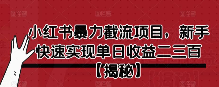 小红书暴力截流项目，新手快速实现单日收益二三百【仅揭秘】-苏柒资源库