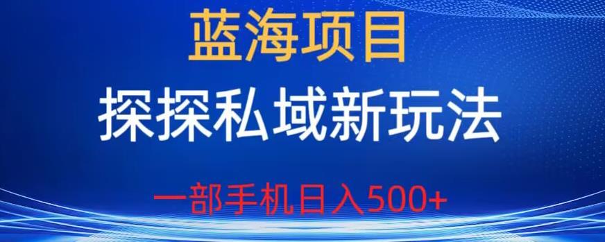 蓝海项目,探探私域新玩法,一部手机日入500+很轻松【揭秘】-苏柒资源库