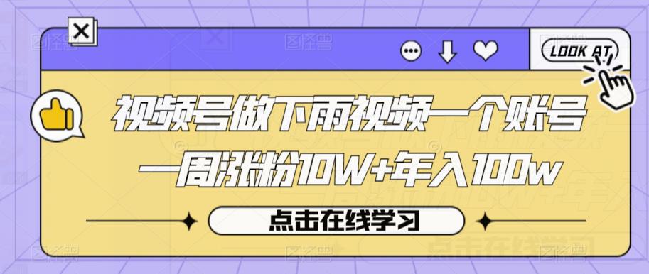 视频号做下雨视频一个账号一周涨粉10W+年入100w【揭秘】-苏柒资源库