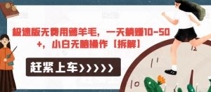 极速版无费用薅羊毛，一天躺赚10-50+，小白无脑操作【拆解】-苏柒资源库