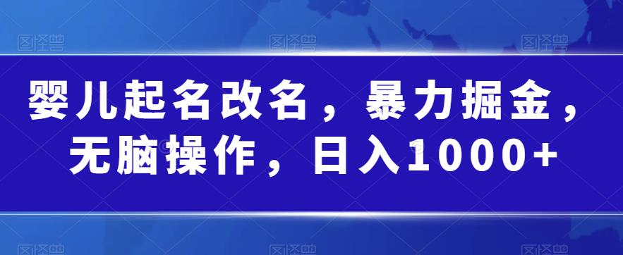 婴儿起名改名，暴力掘金，无脑操作，日入1000+【揭秘】-苏柒资源库