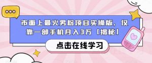 市面上最火男粉项目实操版，仅靠一部手机月入3万【揭秘】-苏柒资源库