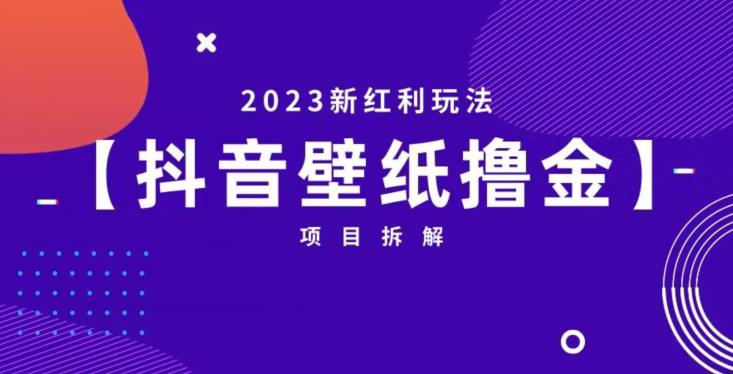 抖音壁纸小程序创作者撸金项目，2023新红利玩法【项目拆解】-苏柒资源库