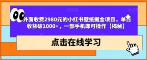 外面收费2980元的小红书壁纸掘金项目，单日收益破1000+，一部手机即可操作【揭秘】-苏柒资源库