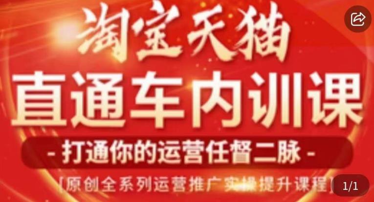 天问电商·2023淘宝天猫直通车内训课，零基础学起直通车运营实操课程-苏柒资源库