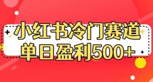 小红书冷门赛道，单日盈利500+【揭秘】-苏柒资源库
