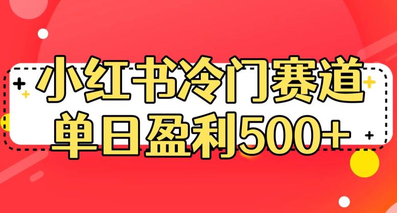 小红书冷门赛道，单日盈利500+【揭秘】-苏柒资源库