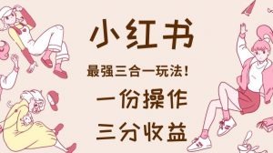 小红书最强三合一玩法,一份操作获得三份收益!【揭秘】-苏柒资源库