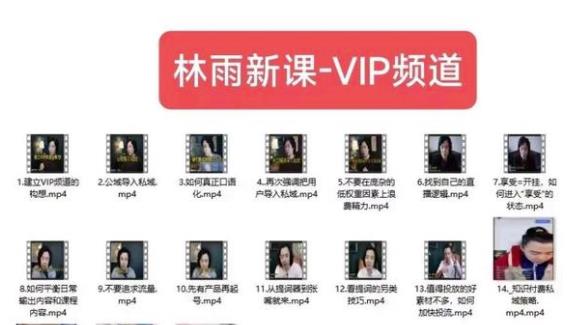 林雨新课VIP频道，玩赚私域/朋友圈/社群-苏柒资源库