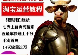 猫老师·淘系算法逆向解密,纯黑纯白玩法,七天上首页纯搜索,手淘首页14天流量过万-苏柒资源库