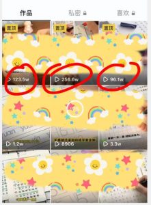 被忽视的冷门项目,随便写写字都能实现月入过万,每天半小时,适合0基础,手机可做【揭秘】-苏柒资源库
