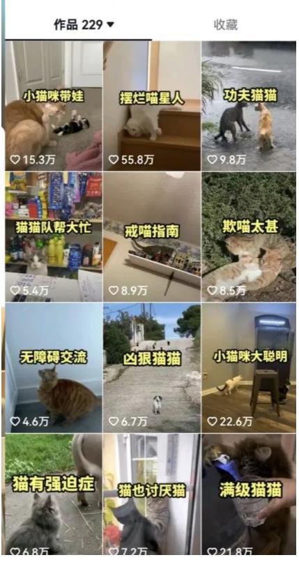 拆解：抖音盘点类中视频变现副业项目，视频版一条龙大解析分享给你-苏柒资源库