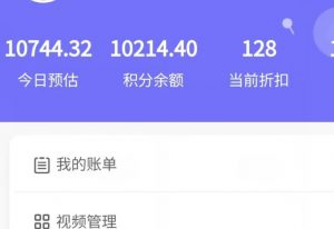 新手也能日入几百的冷门DIY项目,0基础全程实操【揭秘】-苏柒资源库