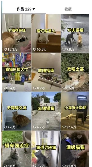 拆解抖音盘点类中视频变现副业项目，视频版一条龙大解析分享给你【视频课程】-苏柒资源库