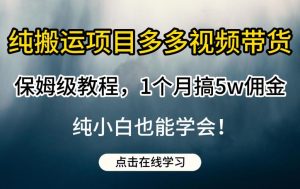 纯搬运项目多多视频带货保姆级教程,1个月搞5w佣金,纯小白也能学会【揭秘】-苏柒资源库